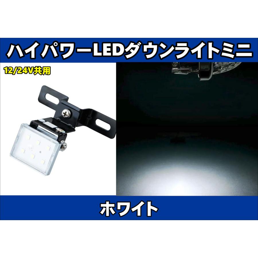ジェットイノウエ ハイパワーLEDダウンライトミニ 12/24V共用 ホワイト
