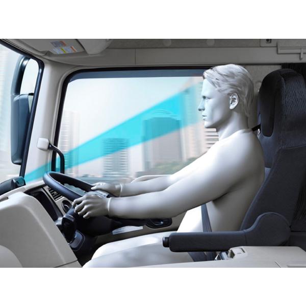 トラック 雅 17スーパーグレート用 マドンナ柄 ダッシュマット