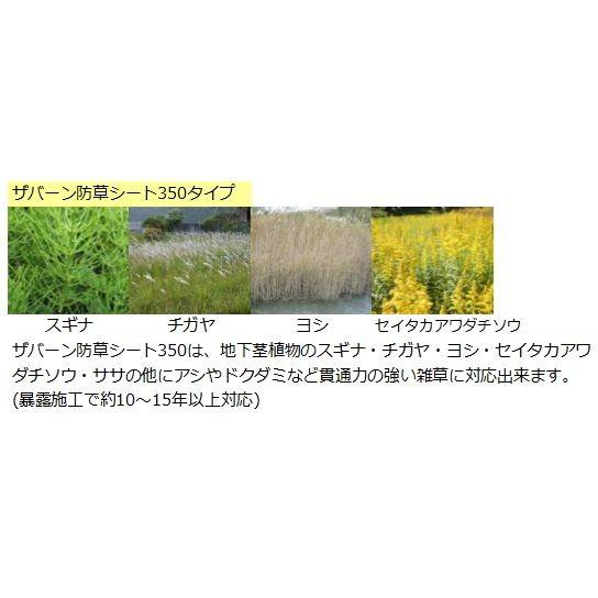 訳あり ワケあり わけあり 数量限定 ザバーン防草シート（１ｍ×５０ｍ）１３６グリーン シート本体｜kenzai-yamasita｜08