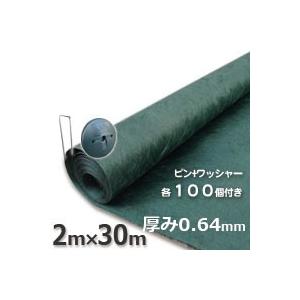 ザバーン 防草シート２４０Gグリーン（２ｍ×３０ｍ）とコ型ピン＋GFワッシャー セット品 ザバーン 防草シート 240グリーン 2m×30m コ型止めピン