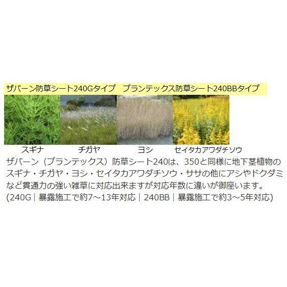ザバーン防草シート240Gグリーン（2m×30m）とコ型ピン