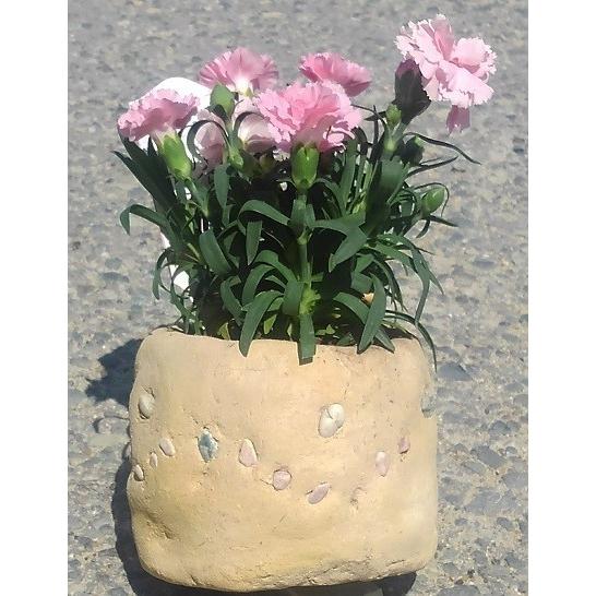 ｅｃｏｐｏ エコポ 焼かずに使える ハンドメイドフラワーポットキット 手作り植木鉢キット Ecopo1 岡村建材店yahoo ショップ 通販 Yahoo ショッピング