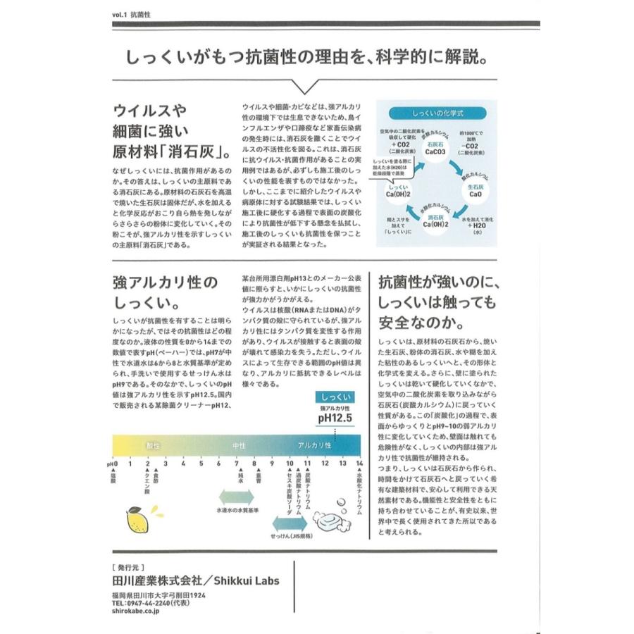 上質 城かべ 古代漆喰 外装用 油入り kg Dprd Jatimprov Go Id