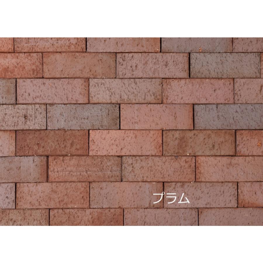 レンガ ブロック Diy 笠木レンガ 花壇 庭 プラム 6個セット Tb P1s 建材ワークス A Rare アレア 通販 Yahoo ショッピング