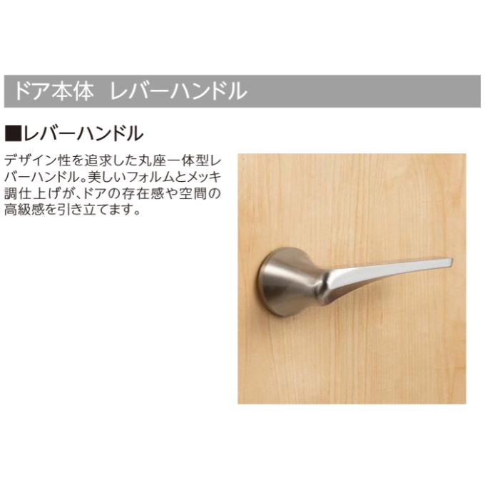 開きドア【枠外寸法、高さ2028×幅778】【枠幅95】【レバー 開きドア【枠外寸法、高さ2028×幅778】【枠幅95】【レバー