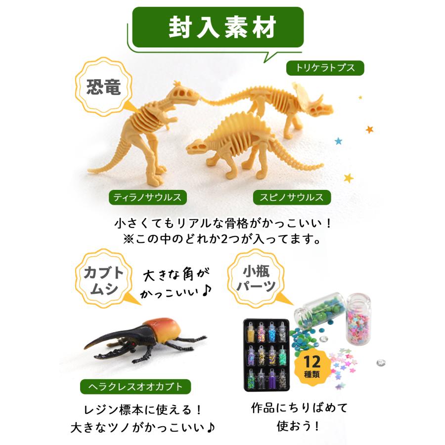 kerata（ケラッタ） レジン セット 自由研究 標本 キット 夏休み 工作
