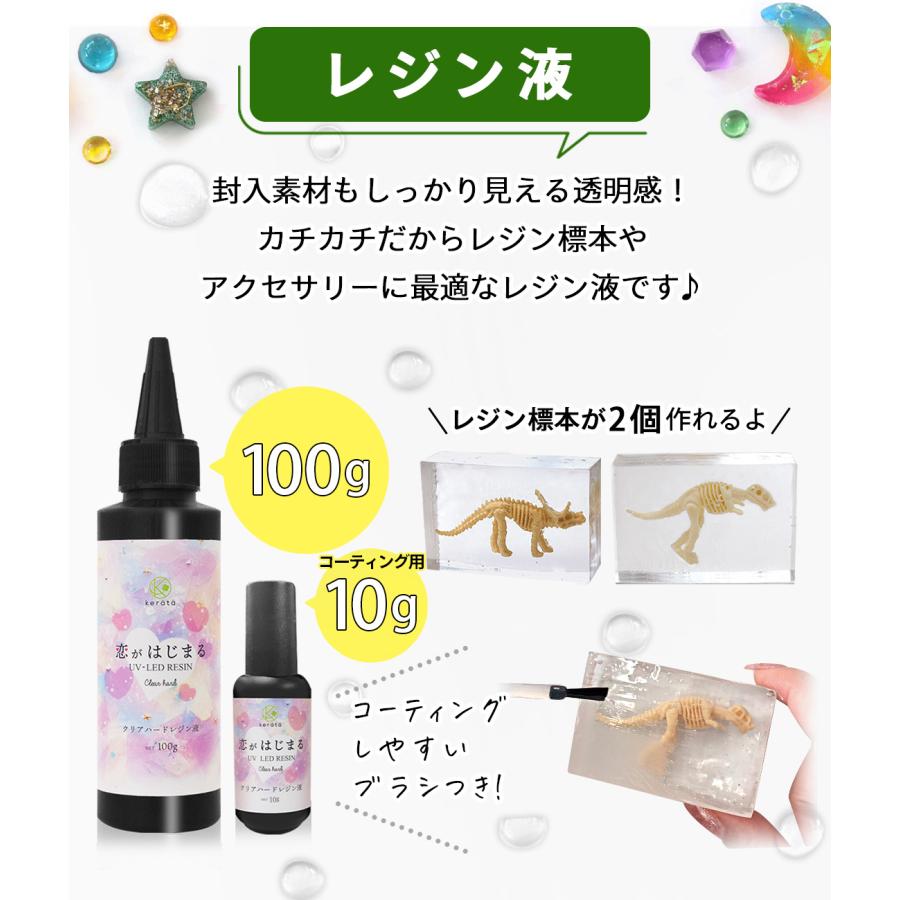 kerata (ケラッタ) レジン セット 自由研究 標本 キット 夏休み