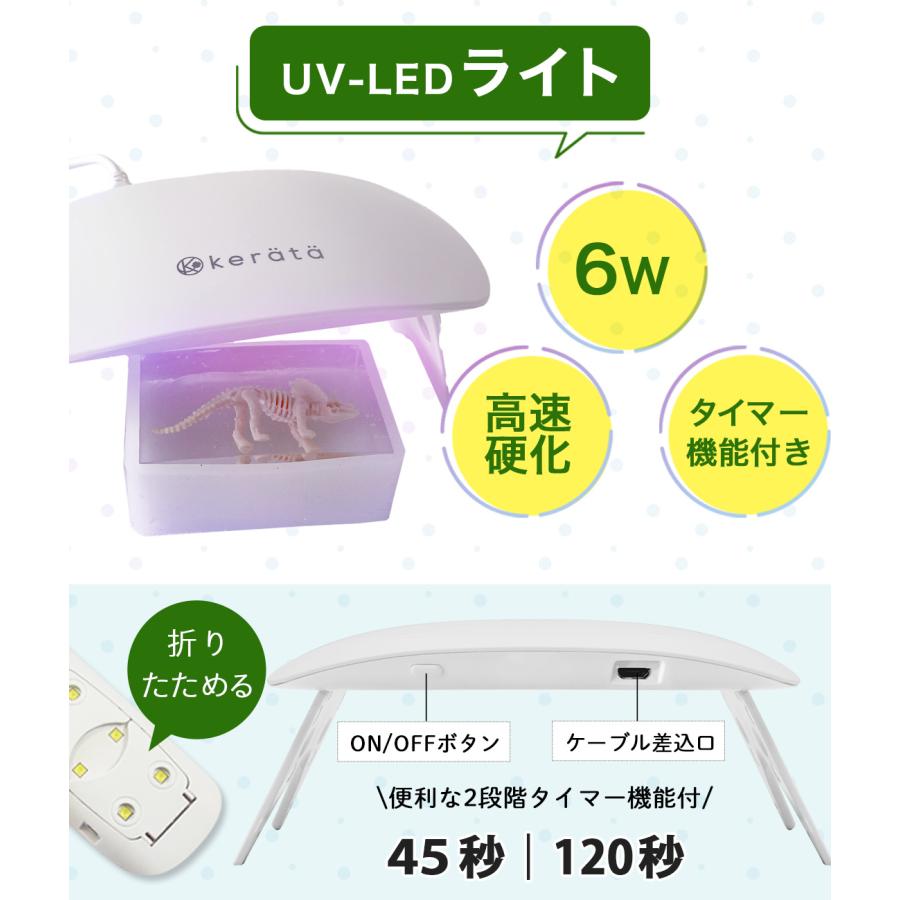 (ケラッタ) レジン セット 自由研究 標本 キット  夏休み 工作 手作り 昆虫 恐竜 骨格 小学生 男の子 女の子 科学 実験 低学年 3年生 2年生 1年生 | kerata | 12
