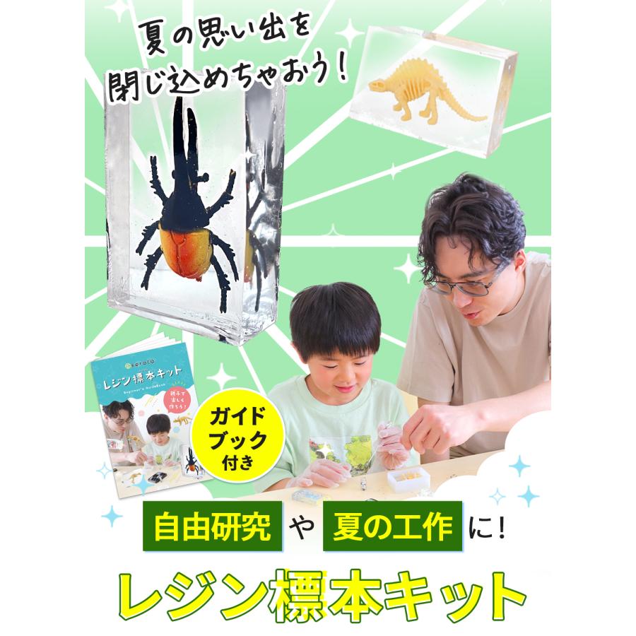 kerata（ケラッタ） レジン セット 自由研究 標本 キット 夏休み 工作