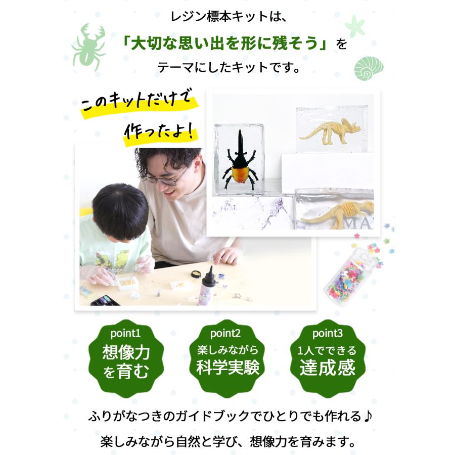 kerata（ケラッタ） レジン セット 自由研究 標本 キット 夏休み 工作