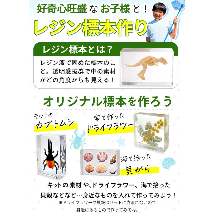kerata（ケラッタ） レジン セット 自由研究 標本 キット 夏休み 工作
