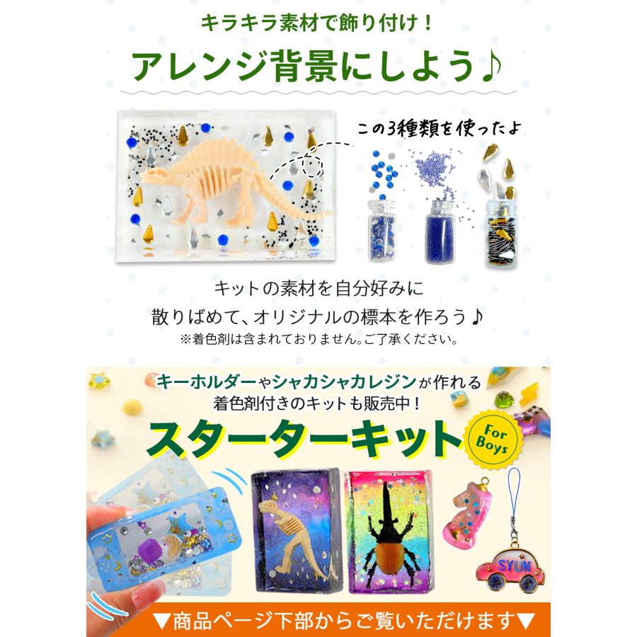 隕石　セット　夏休み　自由研究 隕石 セット 標本 夏休み 自由研究 - メルカリ