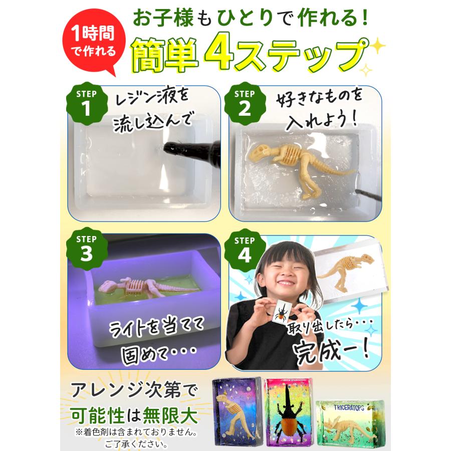 kerata（ケラッタ） レジン セット 自由研究 標本 キット 夏休み 工作
