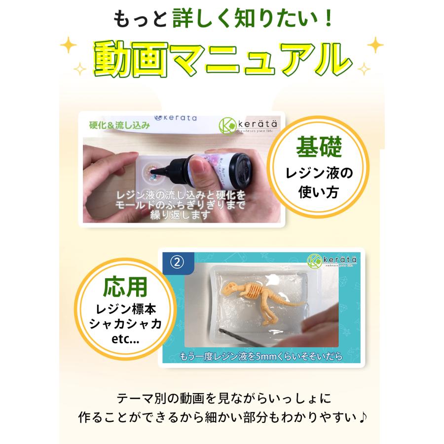 (ケラッタ) レジン セット 自由研究 標本 キット  夏休み 工作 手作り 昆虫 恐竜 骨格 小学生 男の子 女の子 科学 実験 低学年 3年生 2年生 1年生 | kerata | 09