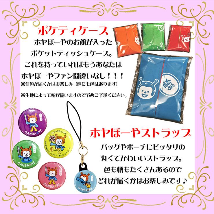 ホヤぼーやリレー2 12月 ホヤぼーや クリアファイル グッズ 数量限定 送料無料 気仙沼市物産振興協会 047aa ホヤぼーやセレクトショップ気仙沼 通販 Yahoo ショッピング