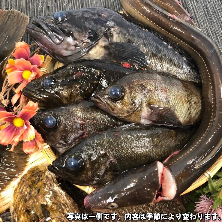 漁師さんの鮮魚box 鮮度にこだわった 約3kg程度 気仙沼産 鮮魚 魚介類 詰合せ 旬な季節の魚を漁師さんから直送 水揚げ次第出荷 気仙沼市物産振興協会 047u ホヤぼーやセレクトショップ気仙沼 通販 Yahoo ショッピング