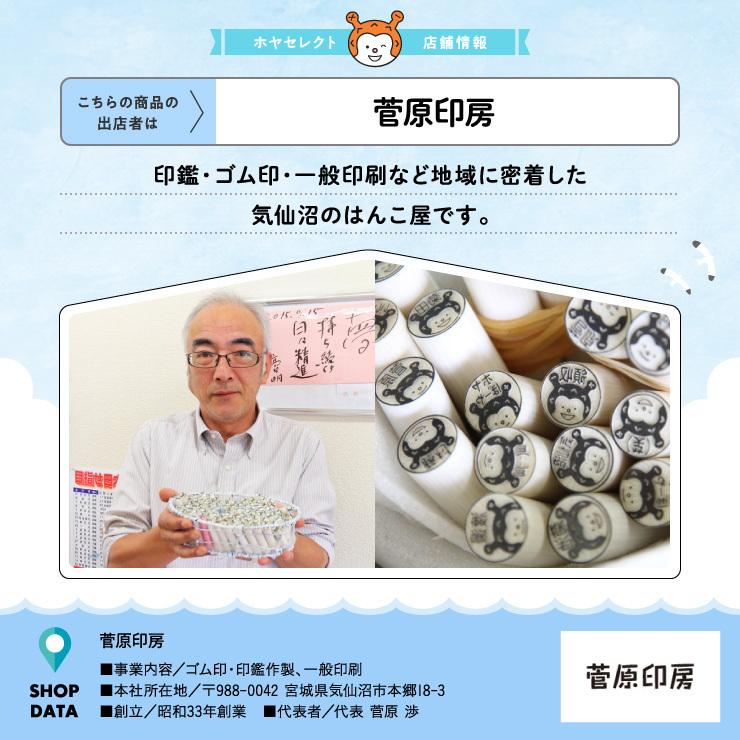 ホヤぼーやネーム印 はんこ 10mm 浸透印 シャチハタ 名入れ ギフト