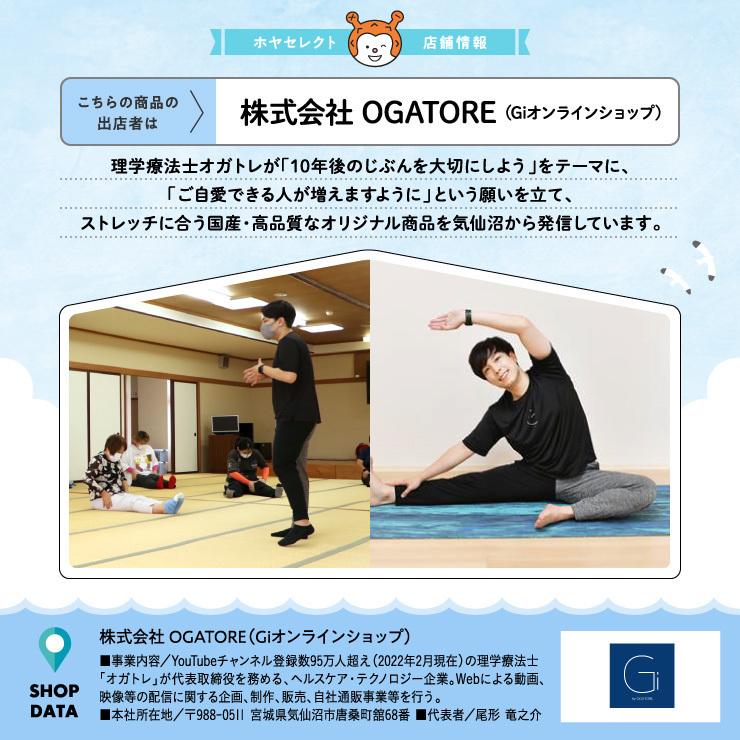 Giプロテインバー チョコ味 24本入 宮城県 Gi By 気仙沼市 ギフト 贈答 プレゼント トレーニング ストレッチ Ogatore 筋トレ