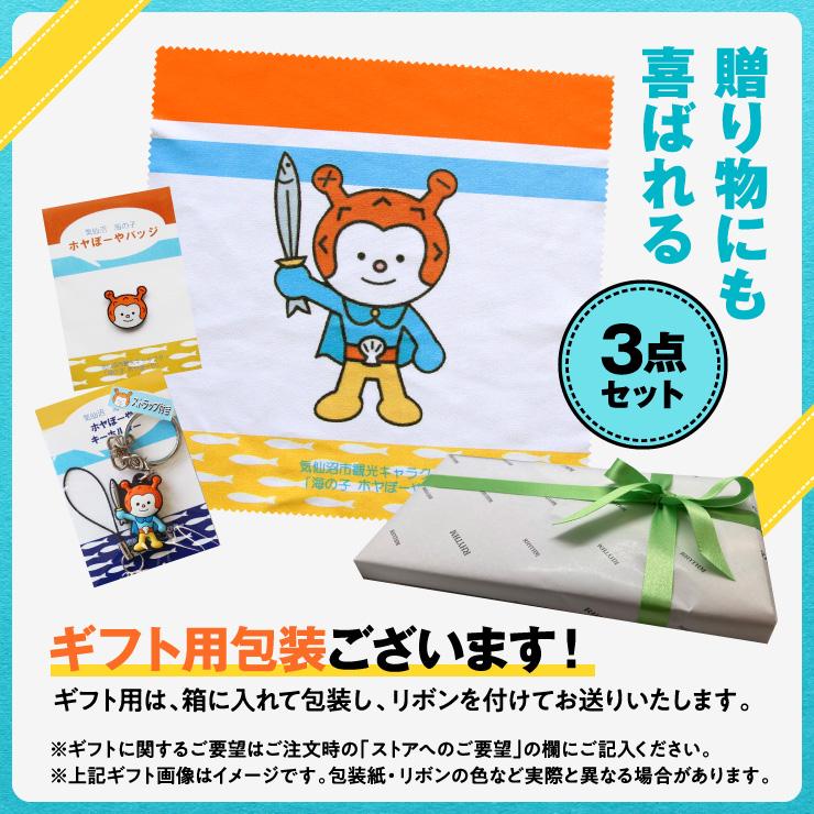 ホヤぼーやグッズ 3点セット 真鍮 ピンバッジ 合成樹脂 キーホルダー