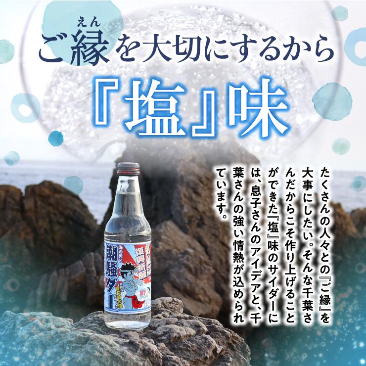 海の男と潮騒ダー 気仙沼 塩サイダー 岩井崎 手づくり塩を使った ご当地サイダー 6本 12本 24本 ミネラル 水分補給 熱中症対策（千葉一商事）｜kesennu-market｜04