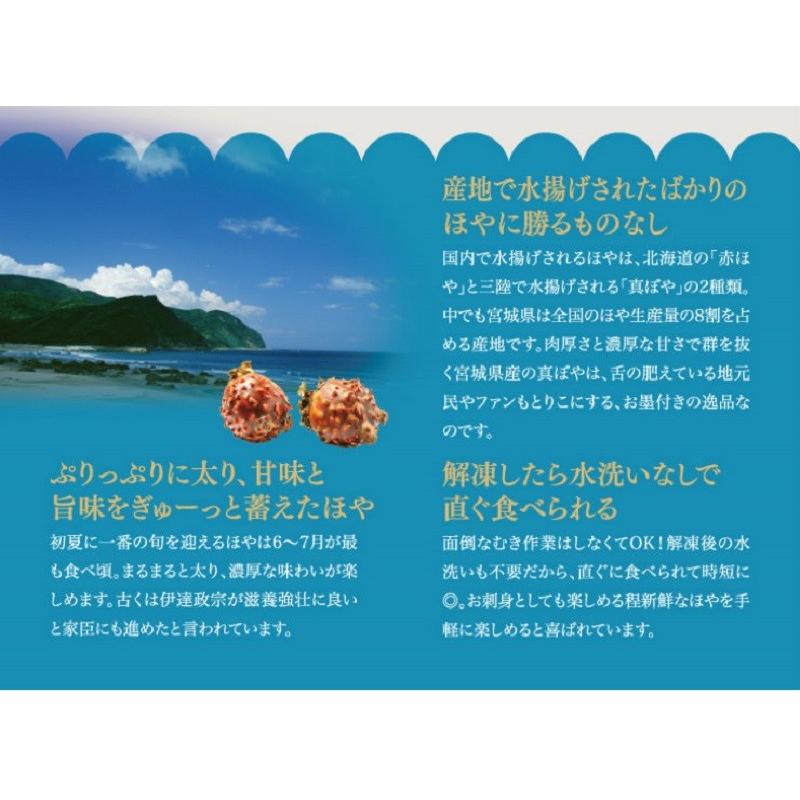 おさしみむきほや 冷凍 (300g) 横田屋本店 気仙沼 ホヤ 珍味 酒の肴 おつまみ 刺身 お取り寄せ｜kesennuma-san｜03