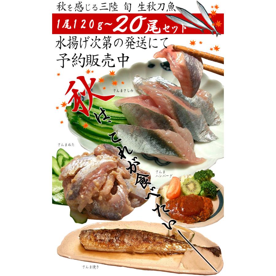 三陸産 生さんま 125g以上尾 丸繁商店 気仙沼 三陸 秋刀魚 旬 水揚げ dd8080 気仙沼さん 通販 Yahoo ショッピング