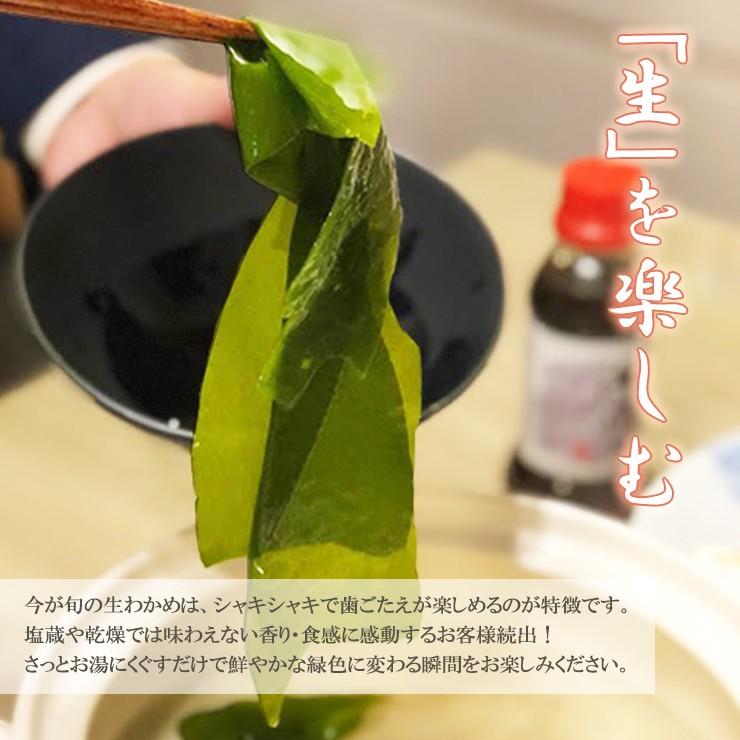生わかめ 生めかぶ 新芽！三陸産 気仙沼 生わかめ＆めかぶセット (わかめ500g めかぶ250g) 丸繁商店 新物 ヘルシー |  | 04