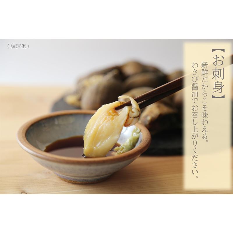 気仙沼産 浜茹あわびツブ Lサイズ 送料無料 1kg 粒前後 Mcf 東北 宮城 つぶ貝 酒の肴 おつまみ お取り寄せ 父の日 e 気仙沼さん 通販 Yahoo ショッピング