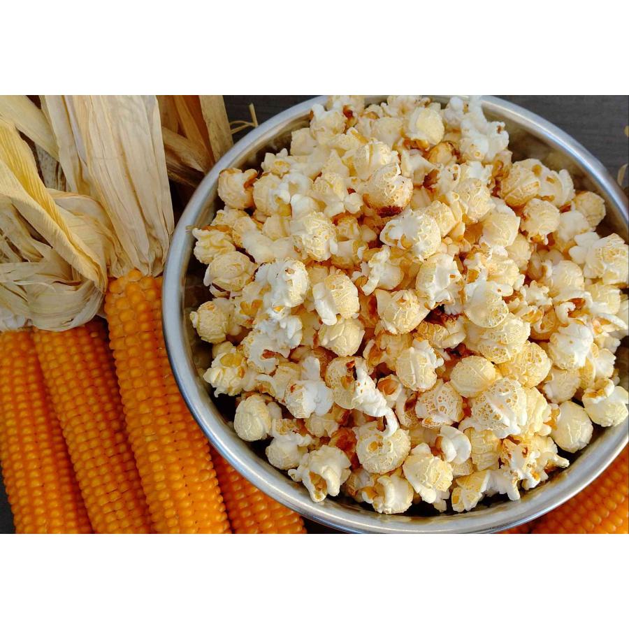 ケトルコーンキットお買い得３点セット |  | 07