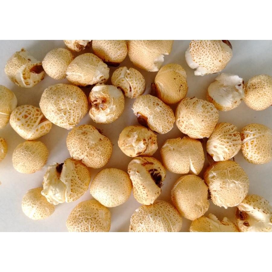 犬用おやつ〜国産オーガニックポップコーン「ナチュラルぽぽぷ」お試しパック |  | 01