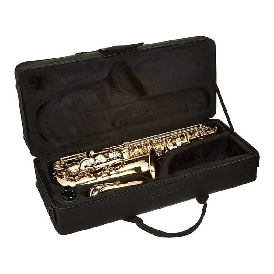 美品★アルトサックス　J.Michael AL-500 お手入れセットケース付き 美品☆アルトサックス J.Michael AL-500 お手入れセットケース付き J