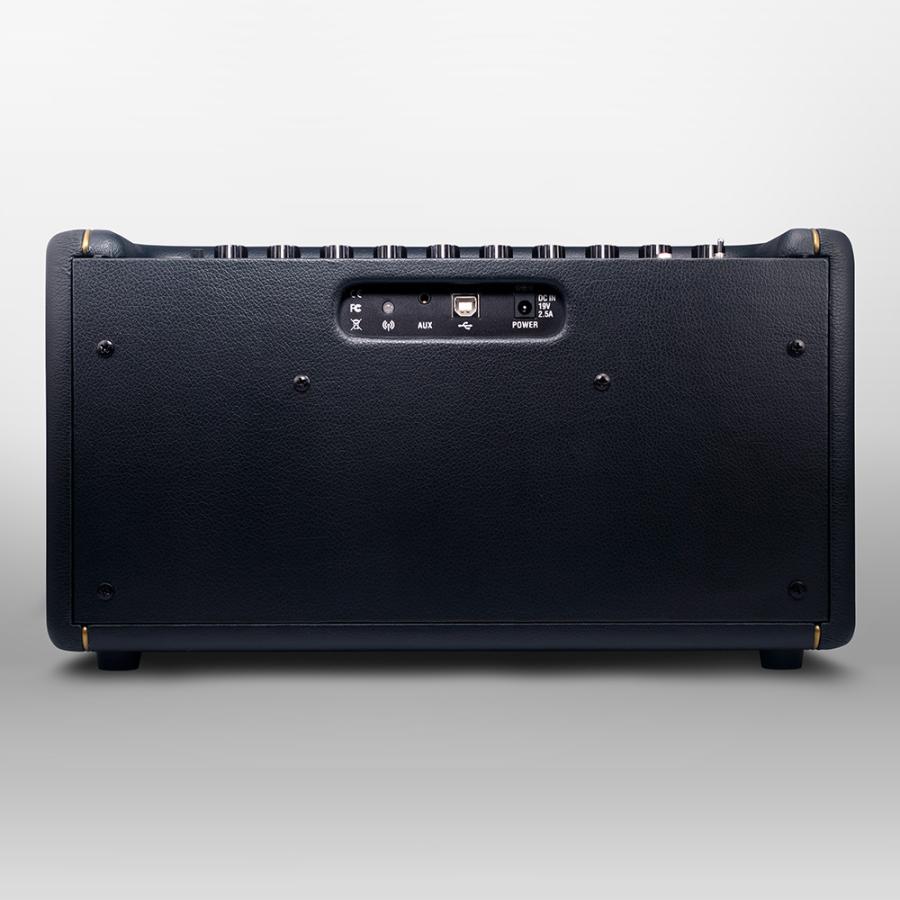 Positive Grid Spark |  | 02