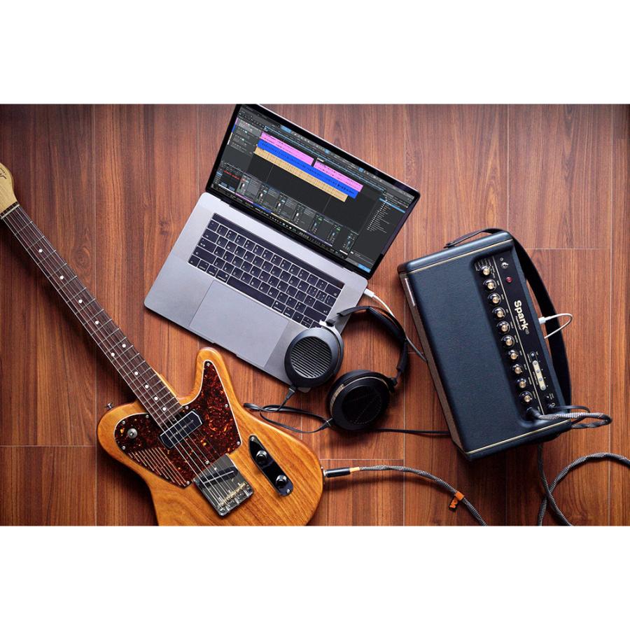 Positive Grid Spark |  | 08