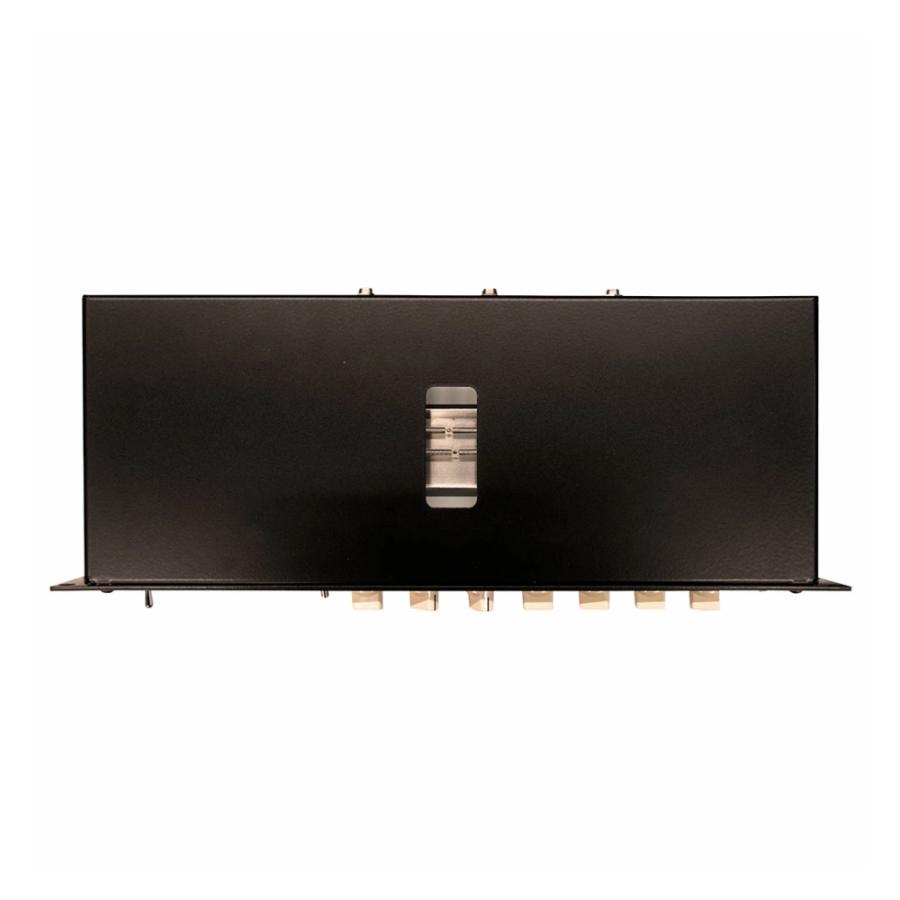 Surfy Industries SURFYBEAR STUDIO EDITION |  | 03