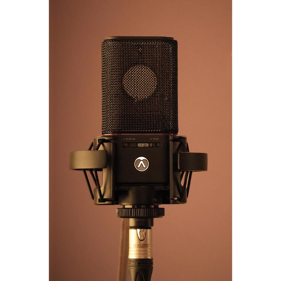 Austrian Audio OC18 Studio Set : ミュージックランドKEY - 通販