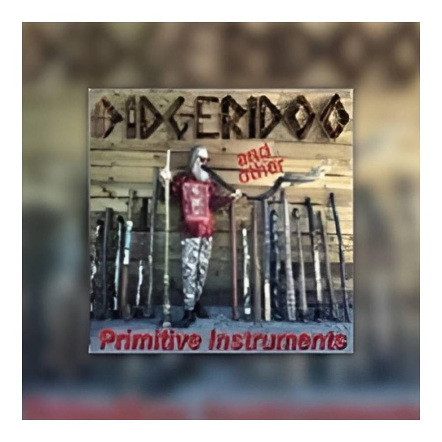 BIG FISH AUDIO DIDGERIDOO [メール納品] | 