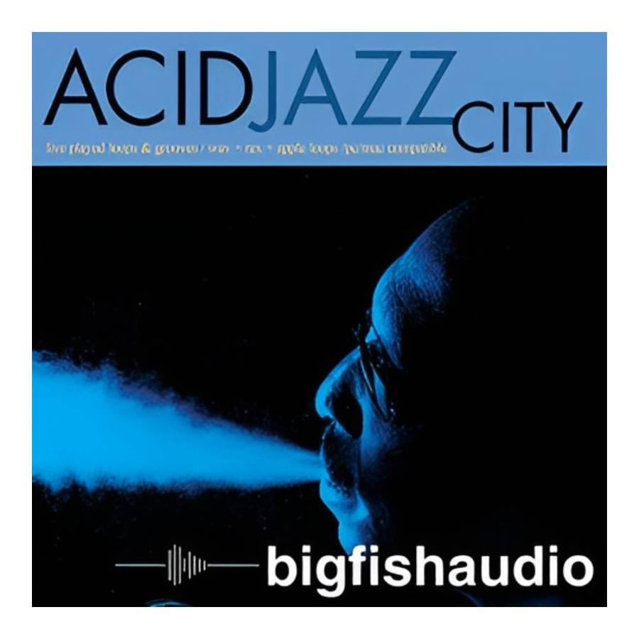 BIG FISH AUDIO ACID JAZZ CITY [メール納品][メーカープロモーション 9/9まで] | 