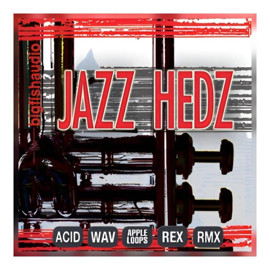 BIG FISH AUDIO JAZZ HEDZ - ACID JAZZ PAK [メール納品][メーカープロモーション 9/9まで] | 