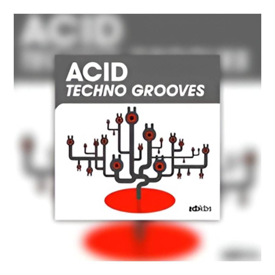 BIG FISH AUDIO ACID TECHNO GROOVES [メール納品][メーカープロモーション 9/9まで] | 
