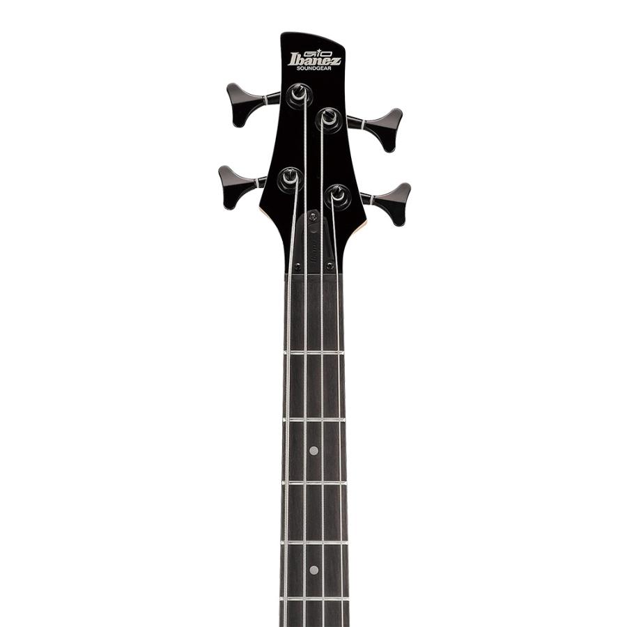 Ibanez Gio GSR280QA-TMS (Transparent Marine Sunburst)の画像