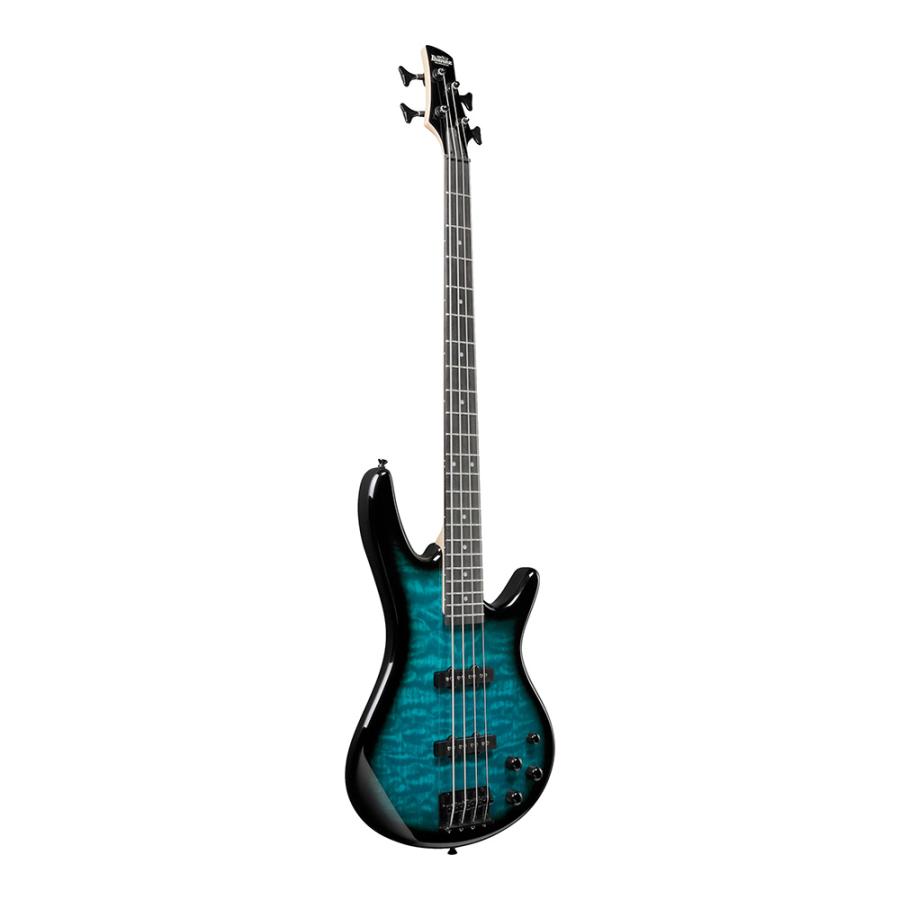 Ibanez Gio GSR280QA-TMS (Transparent Marine Sunburst)の画像