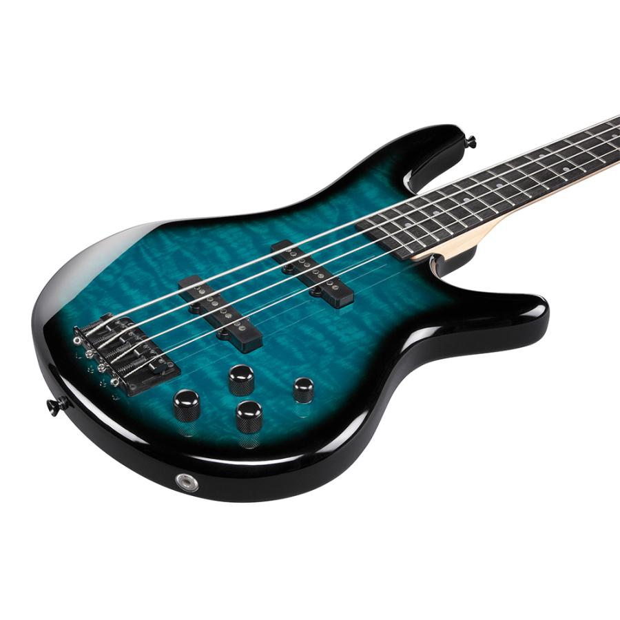 Ibanez Gio GSR280QA-TMS (Transparent Marine Sunburst)の画像