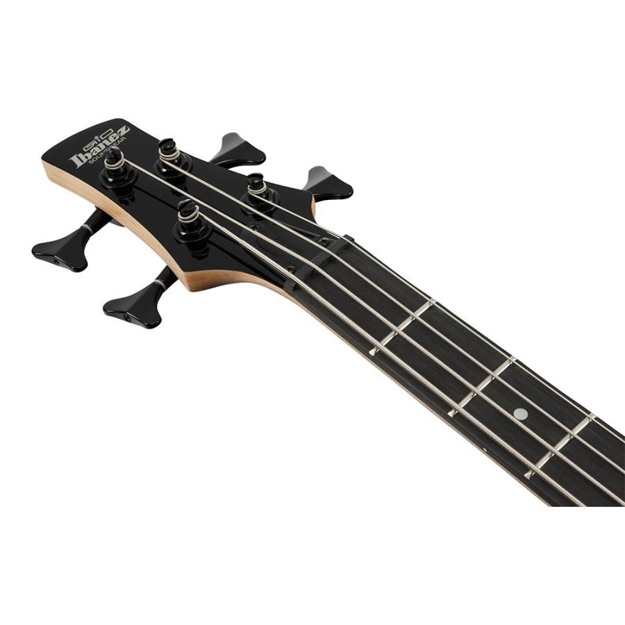 Ibanez Gio GSR280QA-TMS (Transparent Marine Sunburst)の画像