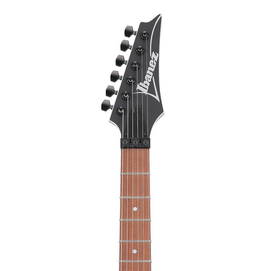 Ibanez RG Standard RG420EX-BKF (Black Flat)の画像