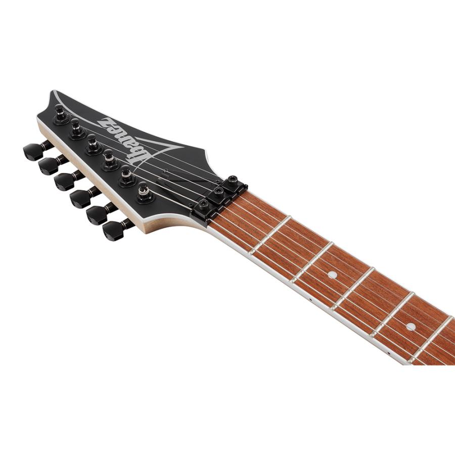 Ibanez RG Standard RG420EX-BKF (Black Flat)の画像