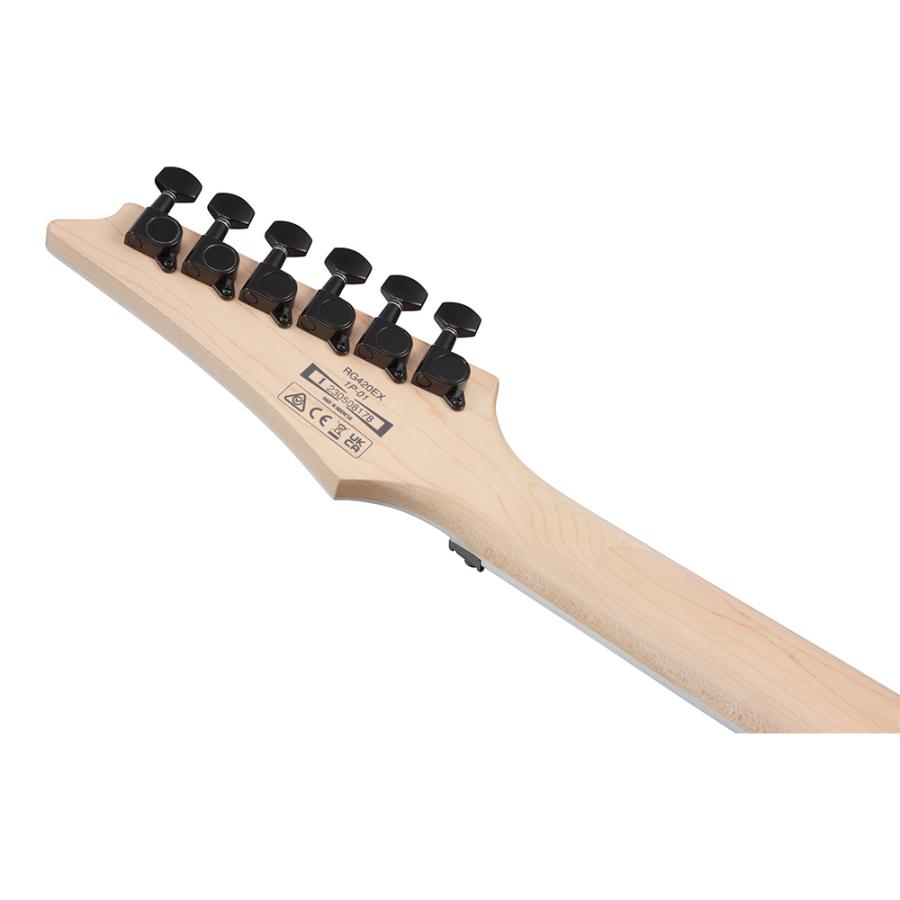 Ibanez RG Standard RG420EX-BKF (Black Flat)の画像