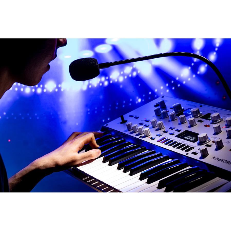KORG KingKORG NEO : ミュージックランドKEY - 通販 - Yahoo