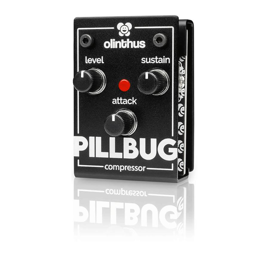 Olinthus Pillbug (Comp) |  | 02