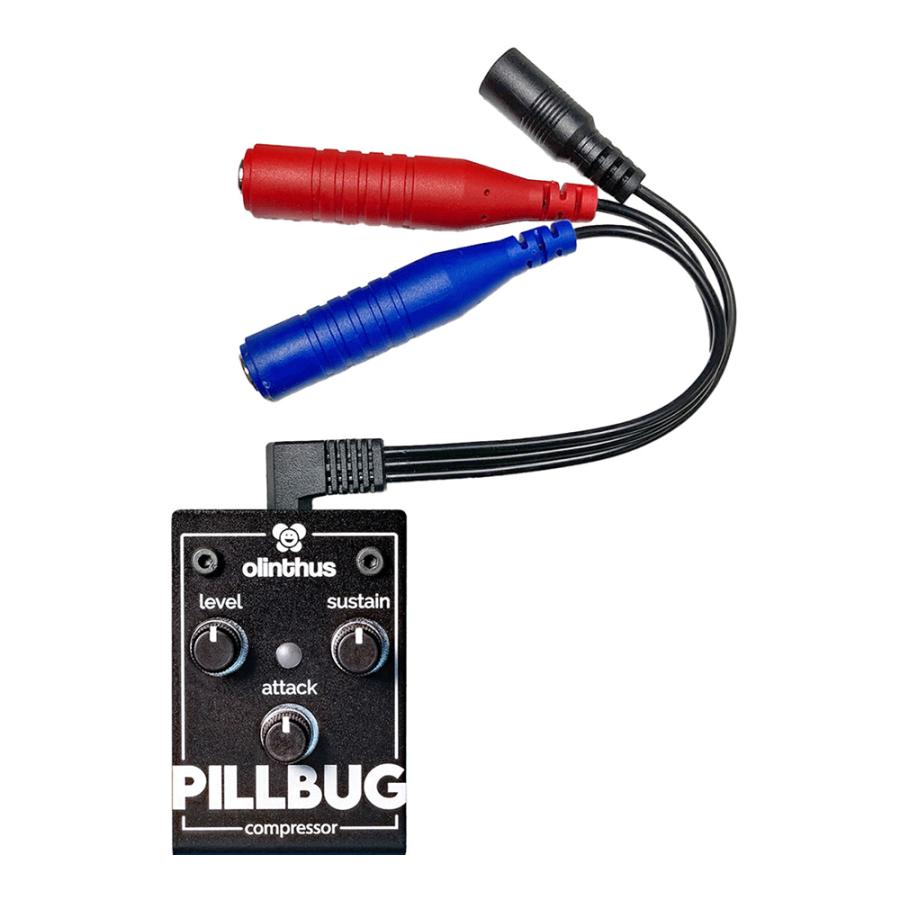 Olinthus Pillbug (Comp) |  | 03