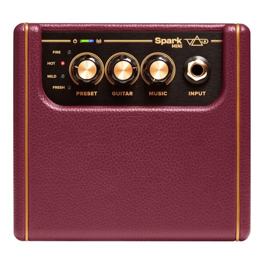 Positive Grid Spark MINI Vai : ミュージックランドKEY - 通販